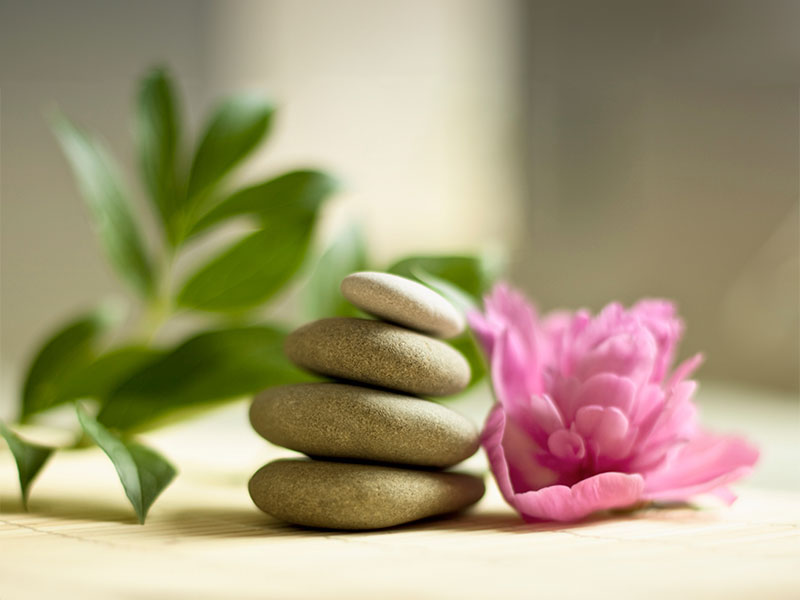 a gray stone carin sits on a tabletop with a pink flower bloom on one side and a green fern on the other