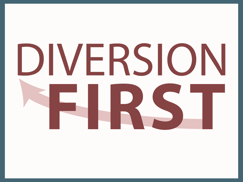 Wordmark of the Diversion First initiative.