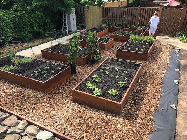 Photo of garden boxes