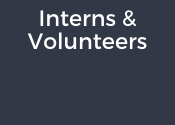 Box with text "Interns & Volunteers"