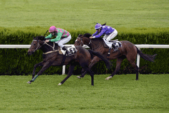 Photo of two horses racing