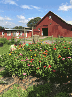 Barn at Legacy Farms