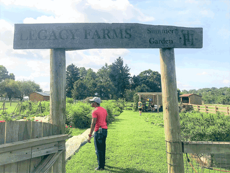 Photo of Legacy Farms sign and garden