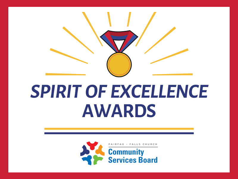 Image of a medal and ribbon with CSB Spirit of Excellence Awards submission