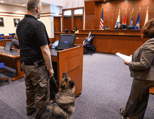 Photo of participant in Veterans Treatment Docket with a dog in court