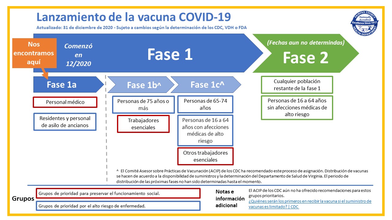 Vaccine phase chart in Spanish