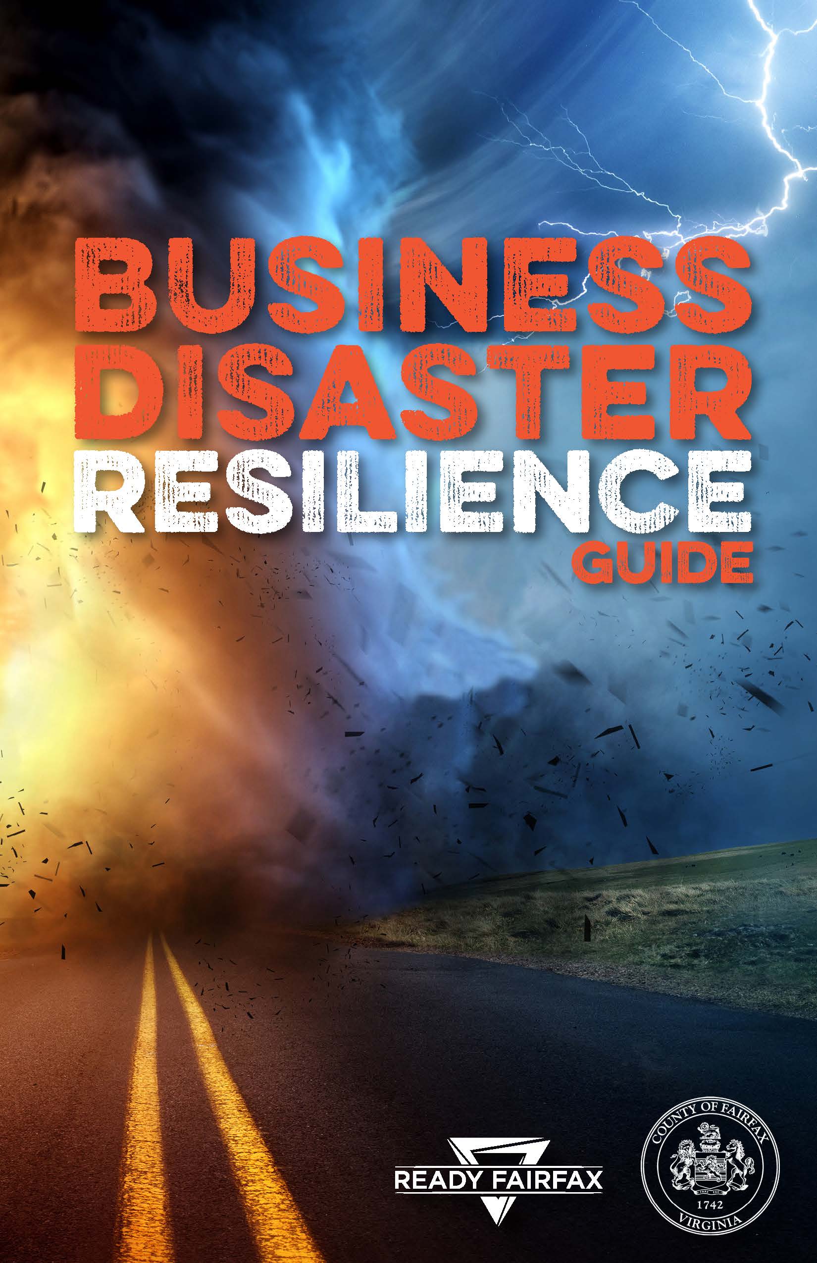 Business Disaster Resilience Guide