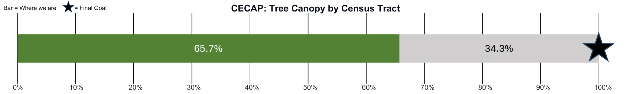 CECAP 100% of Census Tracts have at least 40% canopy by 2030 goal bar with progress showing 65.7%