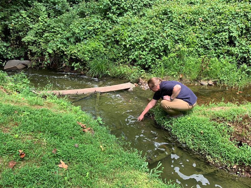 A member of Fairfax Water's lab staff collects a sample during the summer of 2024.