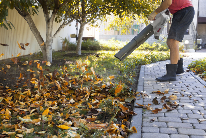 man using electric leaf blower