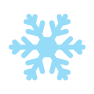 snowflake icon