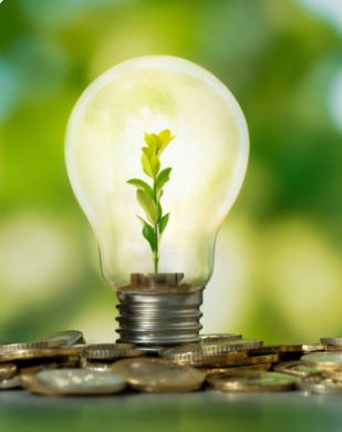 Lightbulb with a small plant growing inside, sitting on a pile of coins.