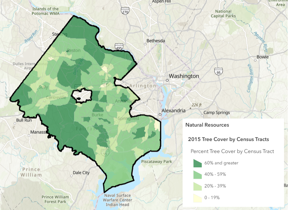 screenshot of ARCGIS tree canopy layer with legend