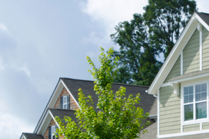 photo of tops of single family homes