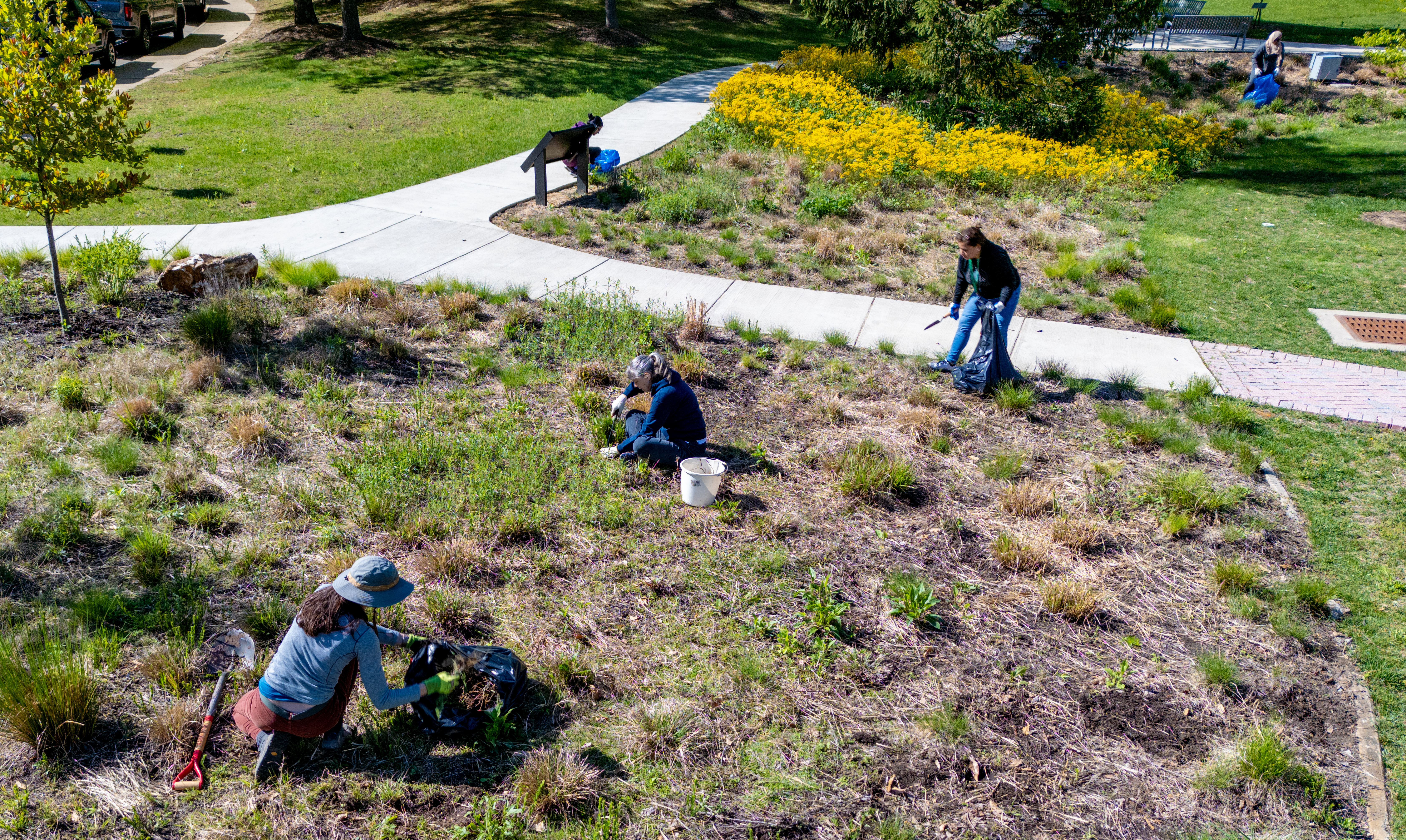 aerial view of group of people in a garden weeding