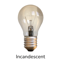incandescent lightbulb on a white background