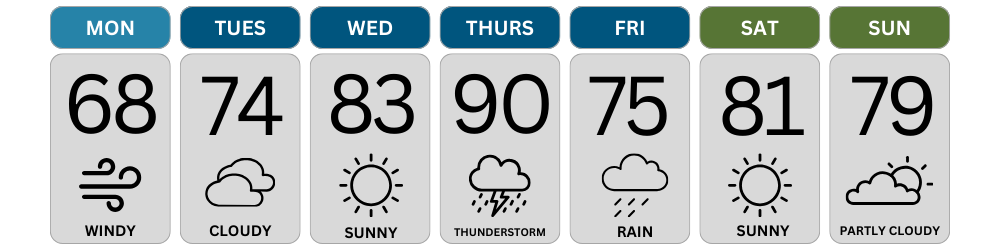 mock weather forecast