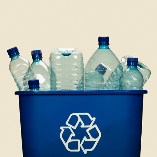 plastic bottles in recycling bin