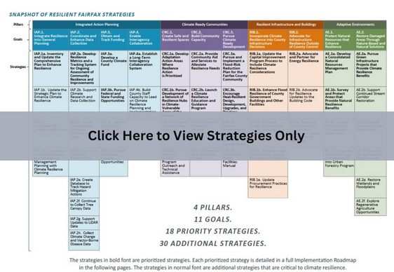 photo of strategies matrix for resilient fairfax