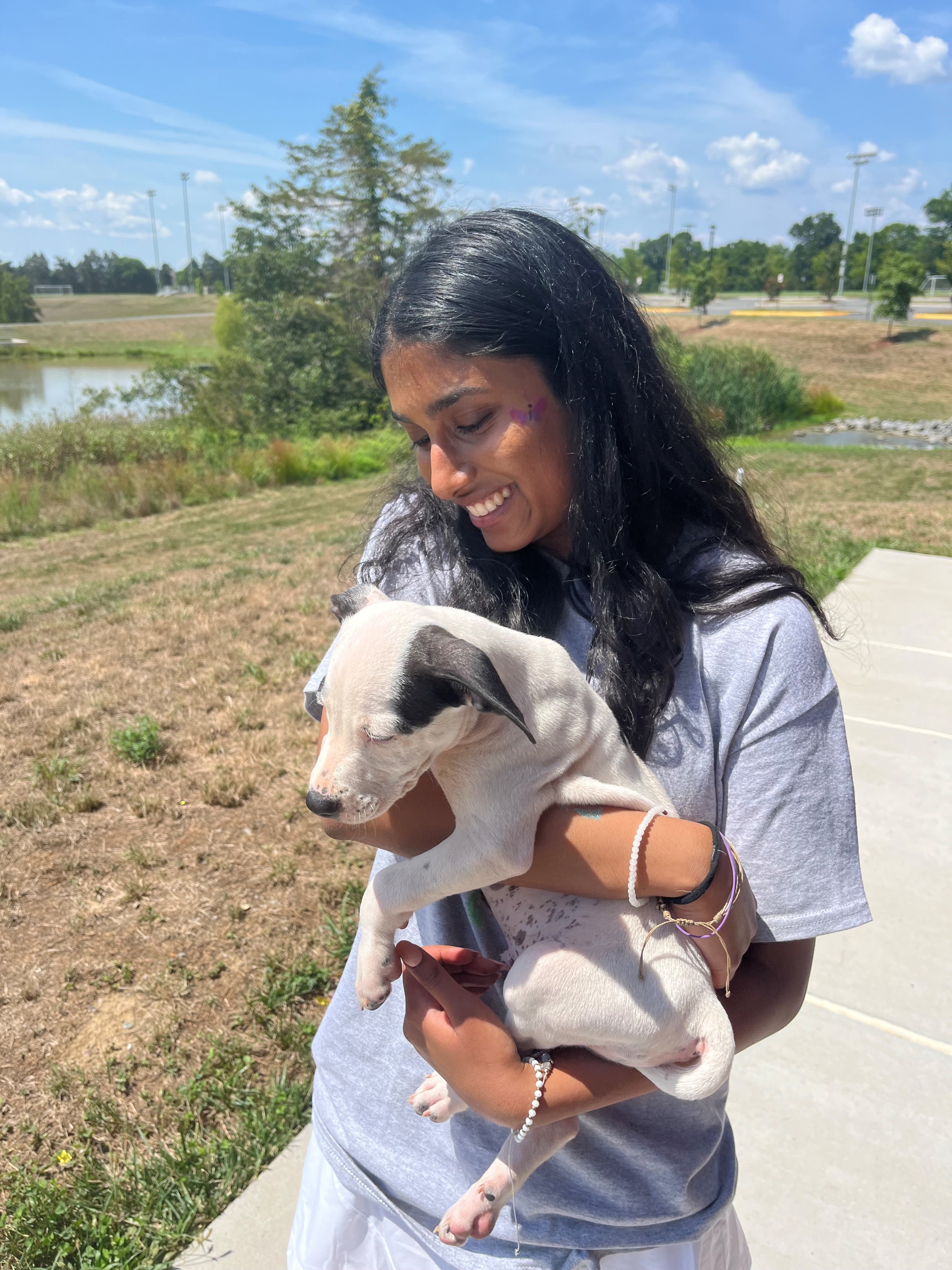 woman with grey shirt holding a white puppy