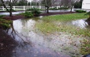 flooding in a yard 