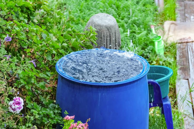 a blue barrel being used to collect rain water