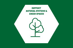 Support natural systems web icon