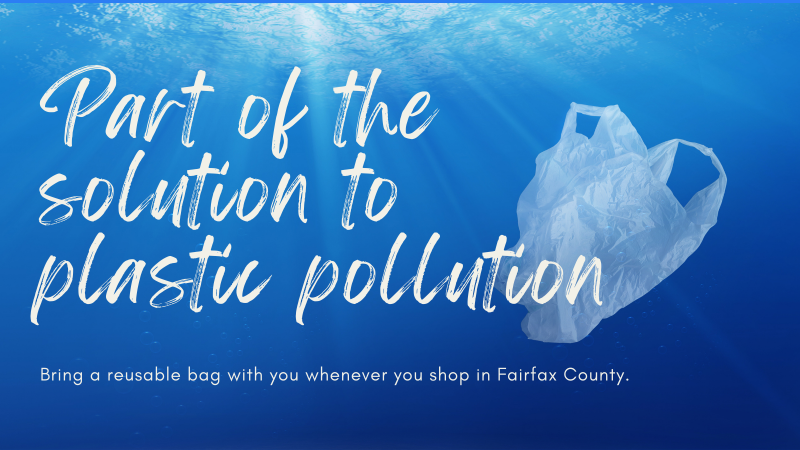 Plastic Bag Use Reduction, plastic bag floating in body of water