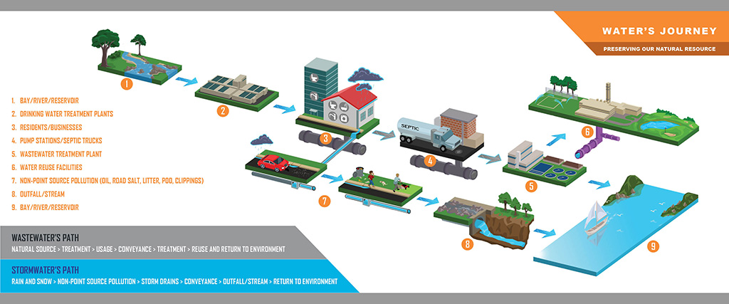 infographic about water's journey from reservoir to human use and back