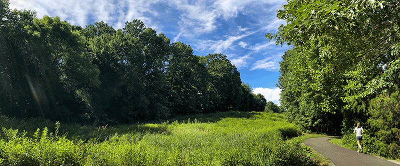 county trail in Reston