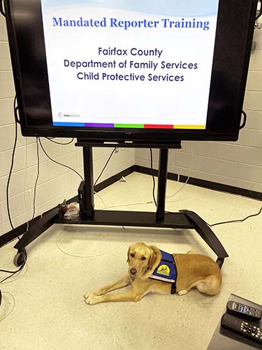 Rylynn with mandated reporter training sign