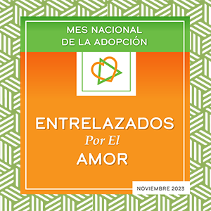  National Adoption Month (Spanish Instagram Graphic)