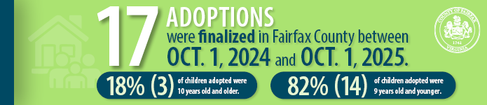 Between Oct. 1, 2024, and Oct. 1, 2025, 17 adoptions were finalized in Fairfax County.