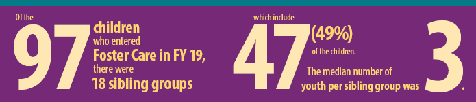 Story in Statistics - 17 Adoptions Finalized through Fairfax County Foster Care and Adoption