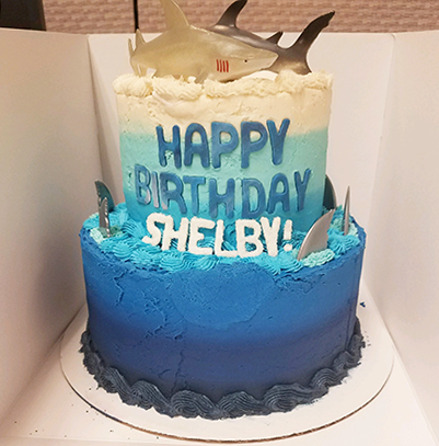 happy birthday cake shark theme
