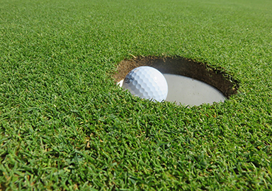 golf ball in hole in the green