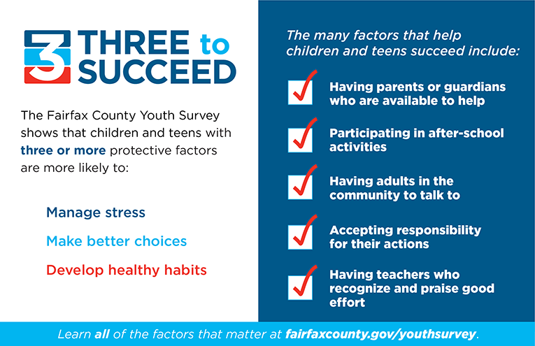 Three to Succeed graphic