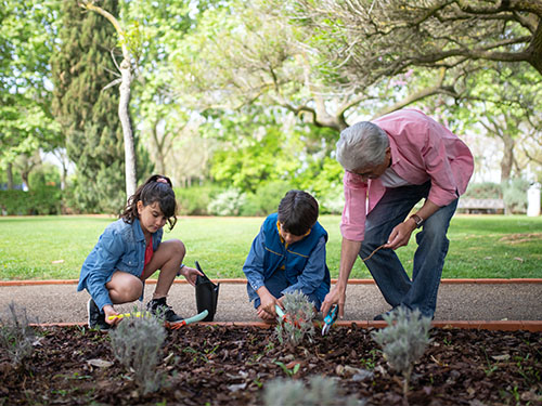 older man gardening with two children