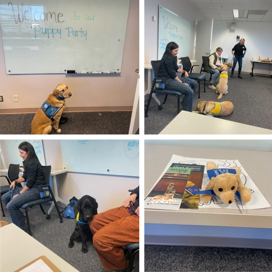 Puppy Party Collage