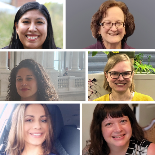 Reston Foster Care Unit Specialists 