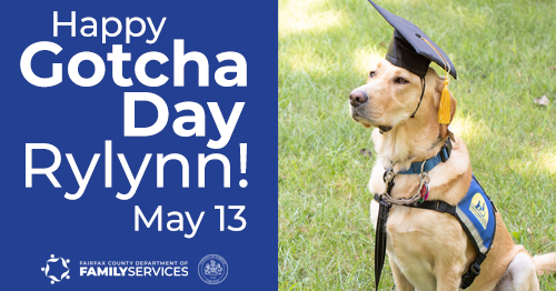 Rylynn wearing graduation cap graphic