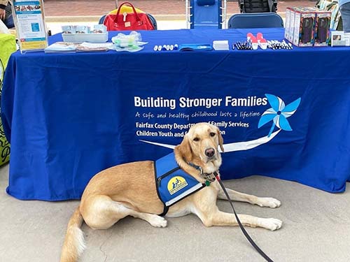 Rylynn laying in front of Building Stronger Families table