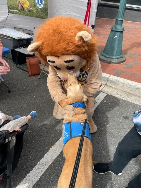 Rylynn Kissing Lion