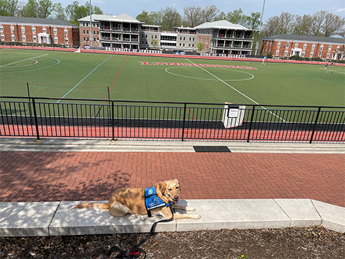 Rylynn laying in front of Lynchburg University football field