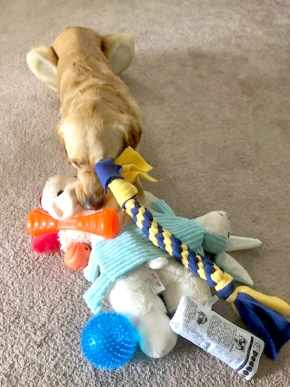 Rylynn with variety of toys