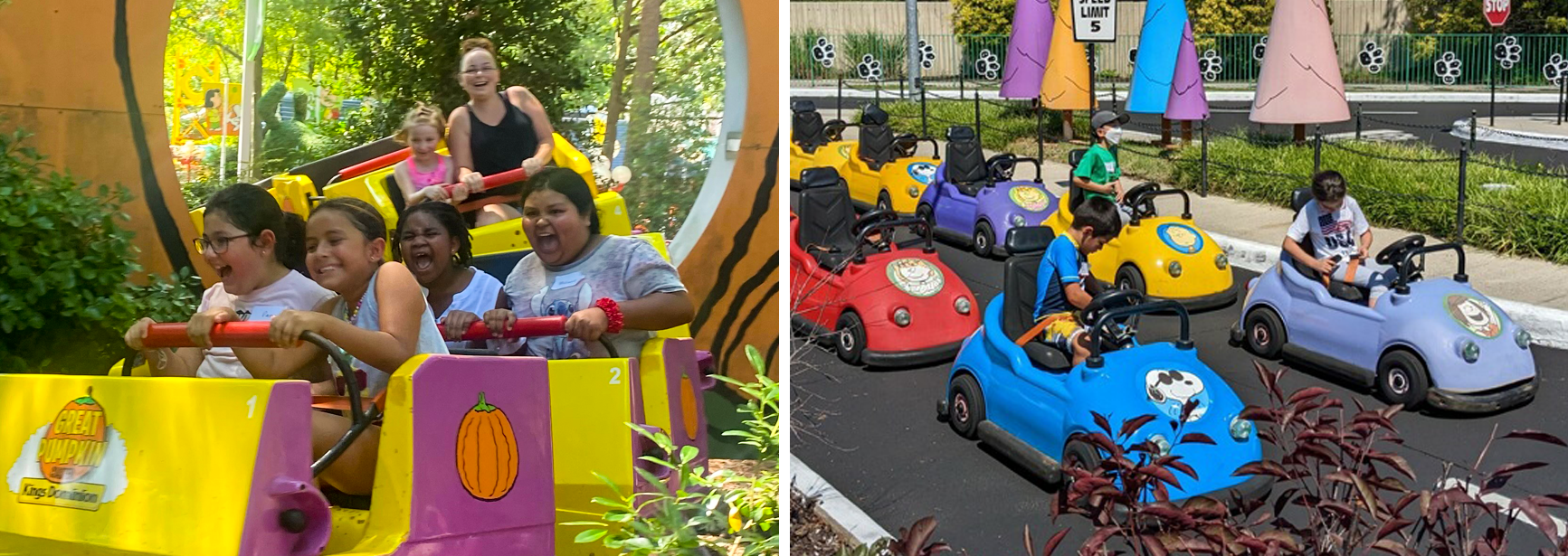 BeFriend-A-Child Kings Dominion photo collage of people