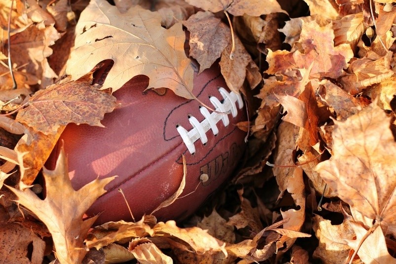 football in leaves