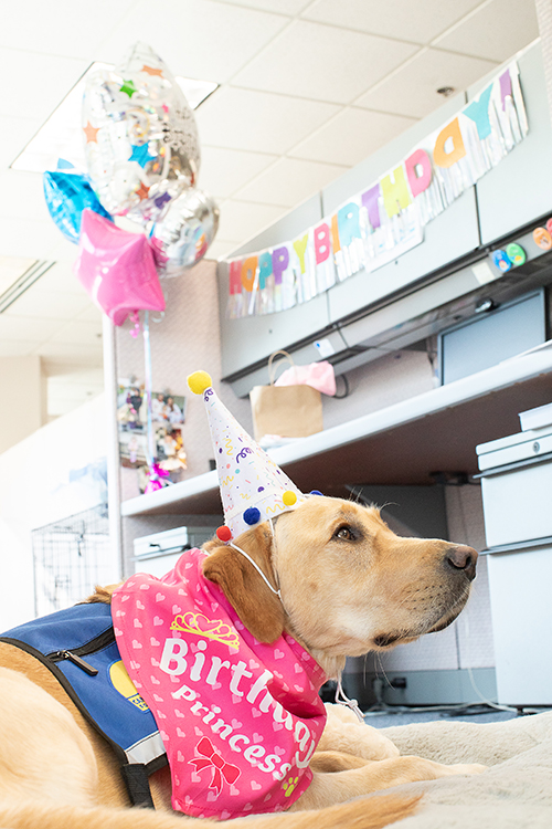 Rylynn wearing a birthday hat and birthday princess bandana 