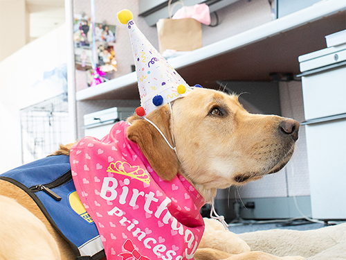 Rylynn wearing a birthday hat and birthday princess bandana 