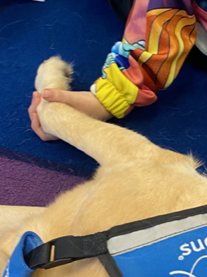 child holding rylynn's paw